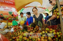 Trái cây Việt khẳng định thương hiệu để cạnh tranh 